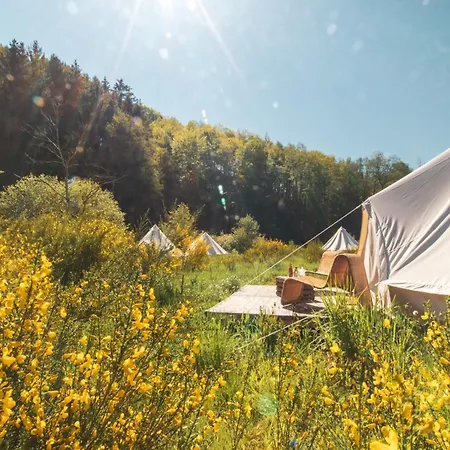 Daft & Glamping