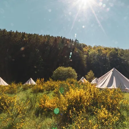 Szálloda Daft & Glamping