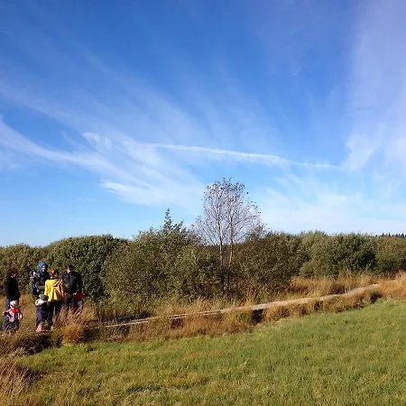 Hotel Daft Hotel&glamping 3*