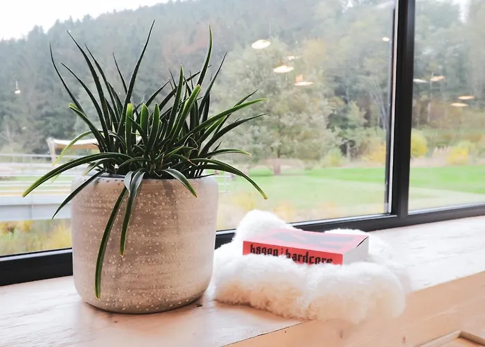 Daft & Glamping Szálloda 3*