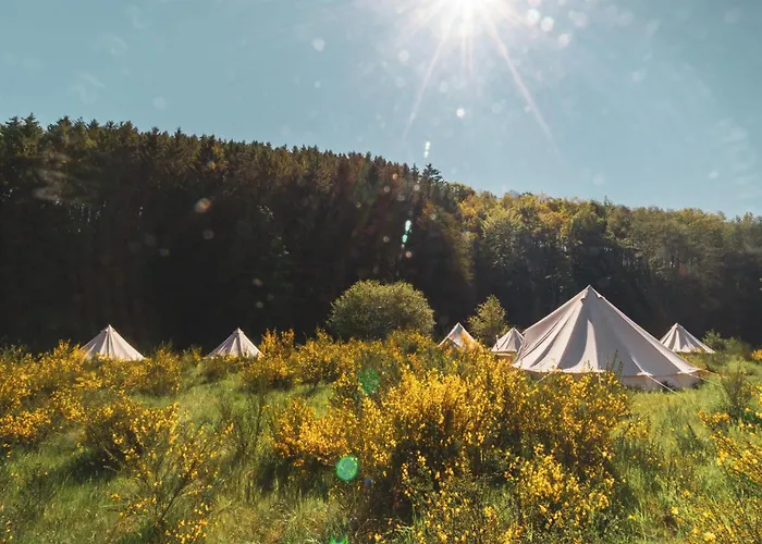 Szálloda Daft & Glamping